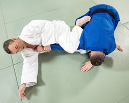 Ude-hishigi-hiza-gatame