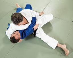 Hon-gesa-gatame