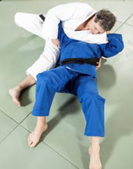 Ushiro-gesa-gatame