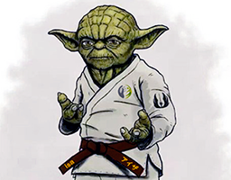 Yoda judo